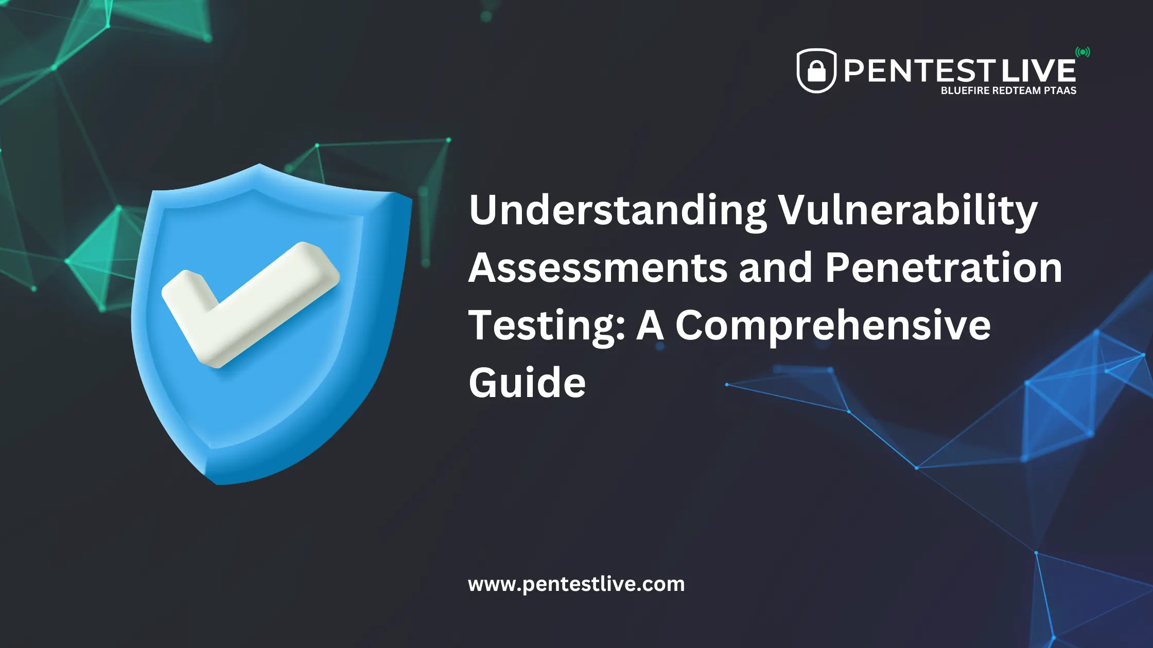 Understanding Vulnerability Assessments and Penetration Testing: A Comprehensive Guide